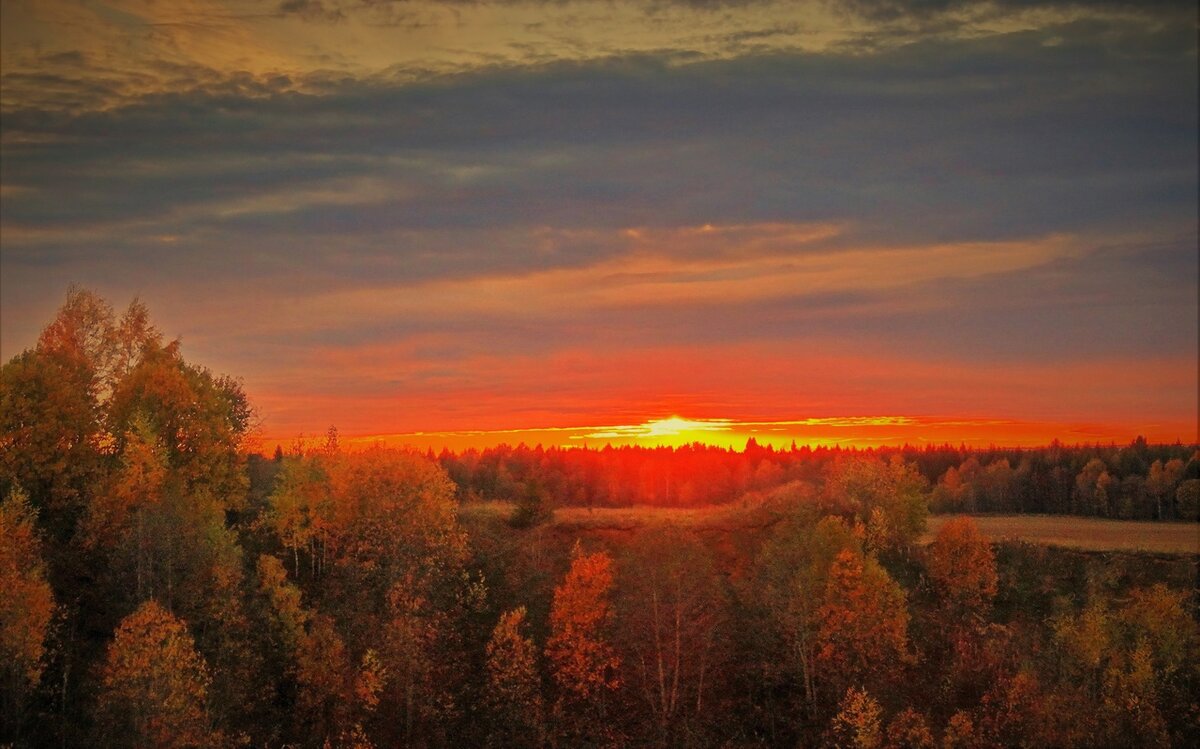 Прощальный взгляд уходящего за горизонт солнца. Словно перекликаются краски заката и осеннего леса. Фото Валерия ТАЛАШОВА.