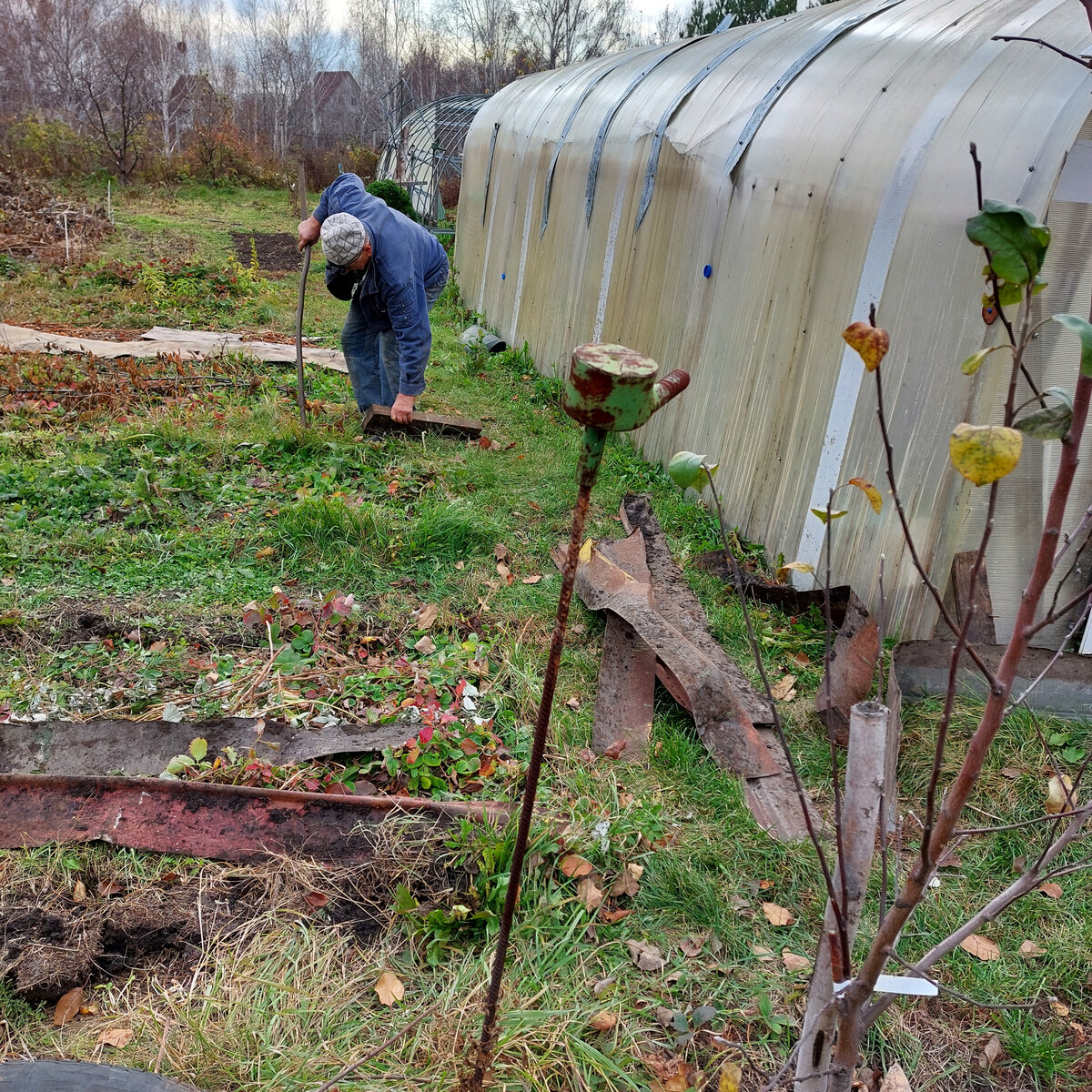 Убираем опасные самодельные металлические бортики на грядках.