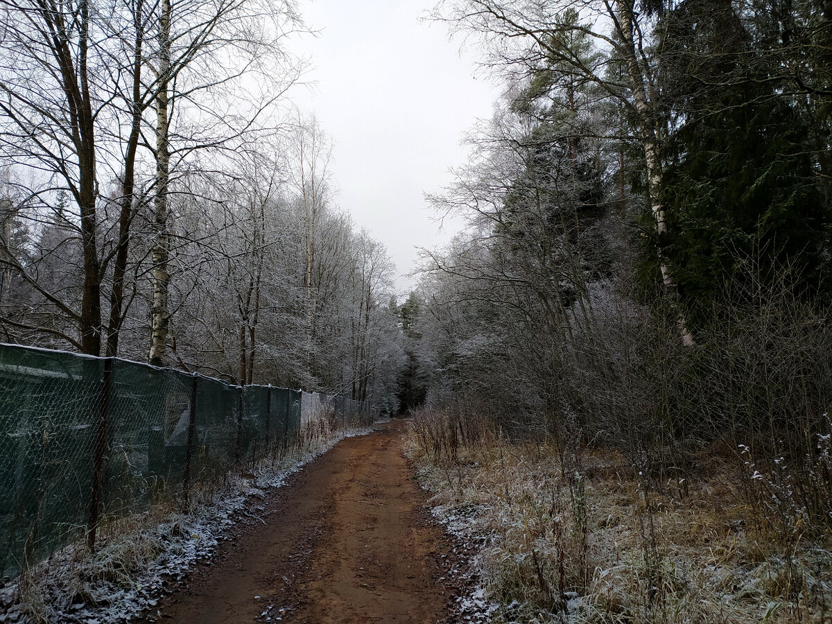 Фото: Maksim Konstantinov/Globallookpress