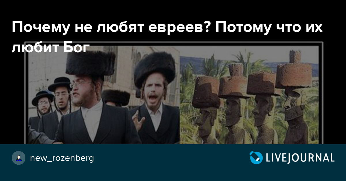 Почему не любят евреев в мире. Ненавижу евреев. Евреи ненавидящие россию. Почему люди не любят евреев кратко. Почему не любят евреев в мире.