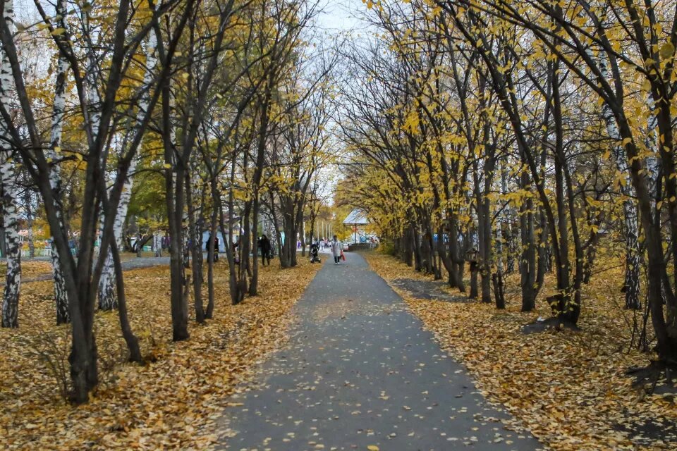 Бывший парк имени Ленина. Октябрь 2023 года 
Источник: Виталий Барабаш