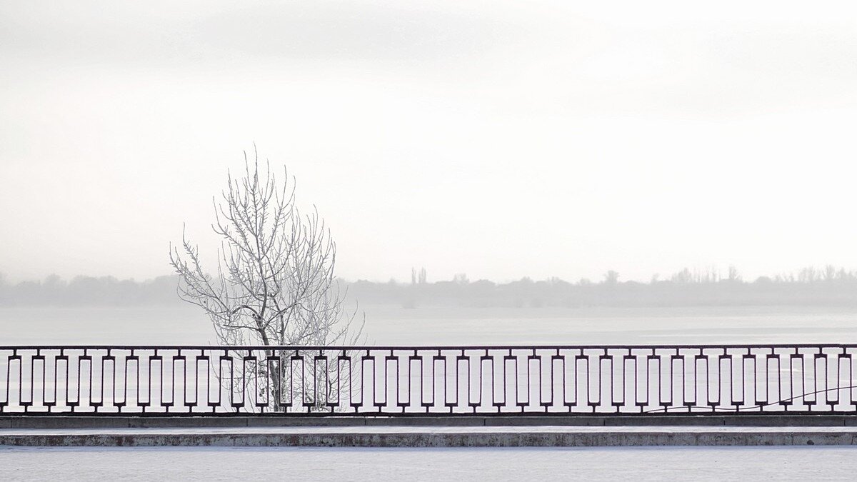     В некоторых муниципалитетах Приморья прошел небольшой и умеренный снег с количеством 0,3-4 мм 21 и 22 октября. Максимально низкая температура воздуха составила -2…-9 °C.