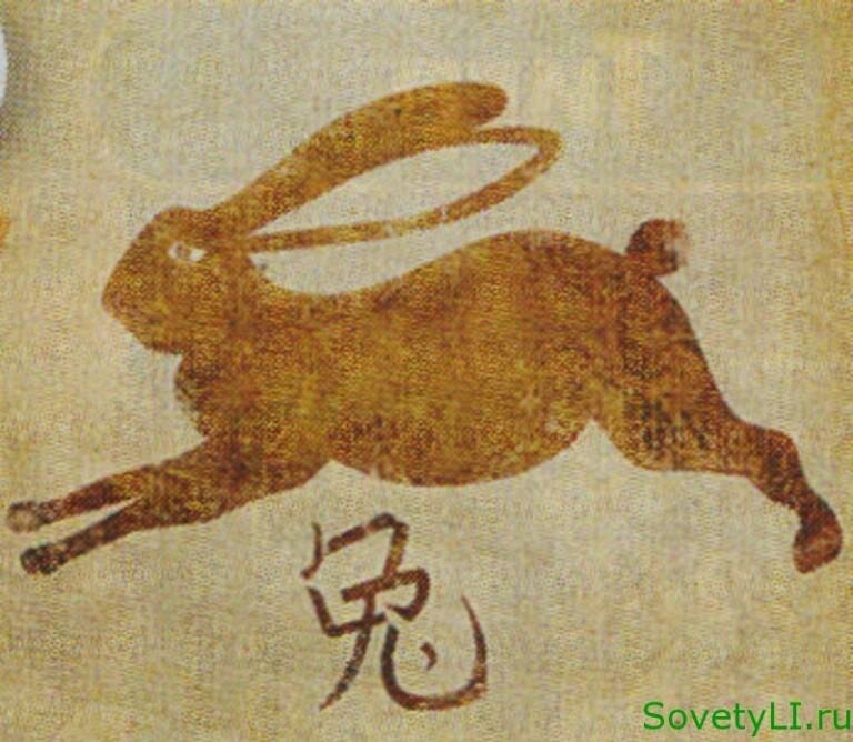 Козерог: астрологический прогноз по году рождения на 2024 год | PRO ...