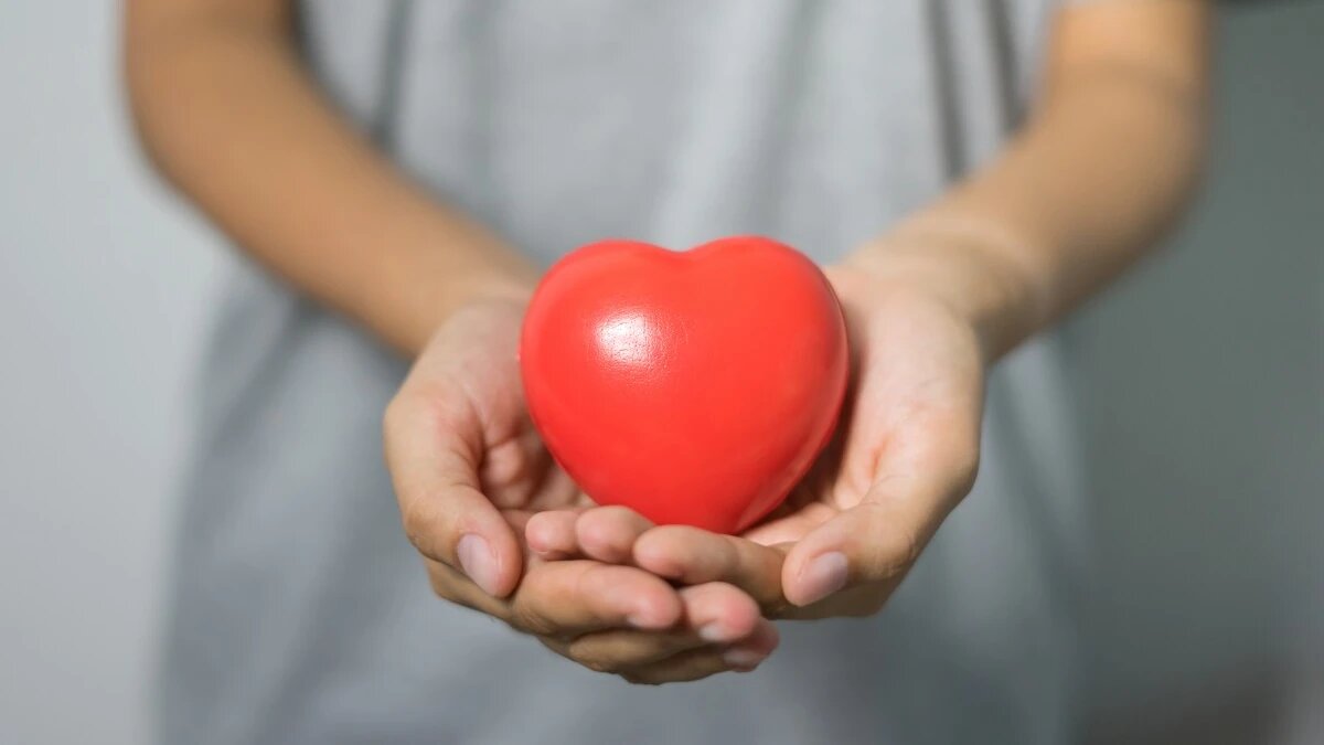 Фото: pxhere.com