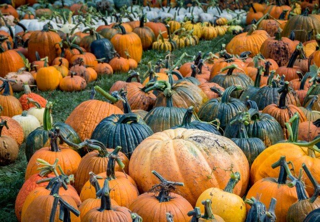 А эти можно купить
