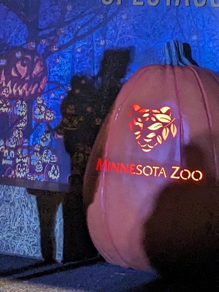 Вот и первая большая тыква