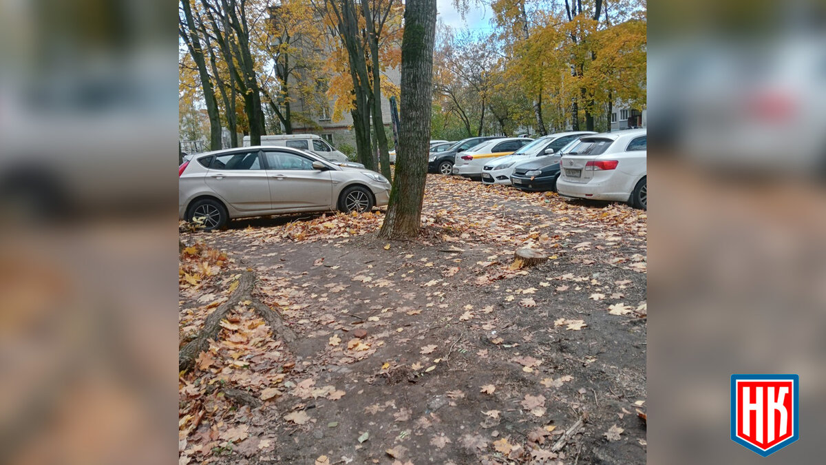 В Электростали удалили все фонарные столбы, вечером и утром выйти  невозможно | МОО Народный КОНТРОЛЬ | Дзен