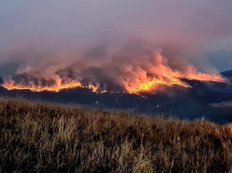     ФОТО: "Земля леопарда"