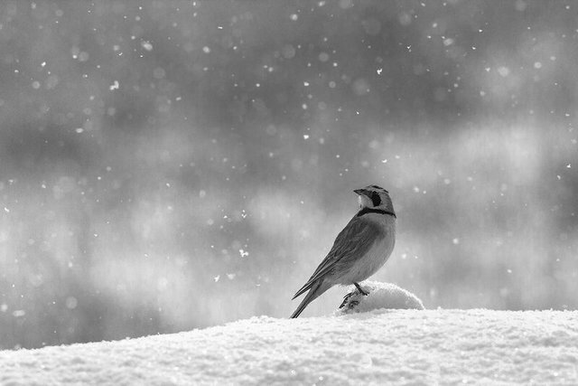 Фото из открытых источников. 