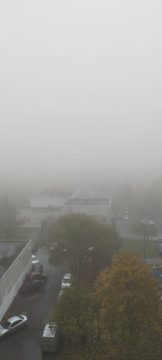 Фото Ясенево. Туман в Ясенево. Новости Ясенево