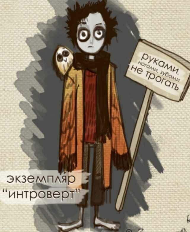 Рисунок из открытых источников