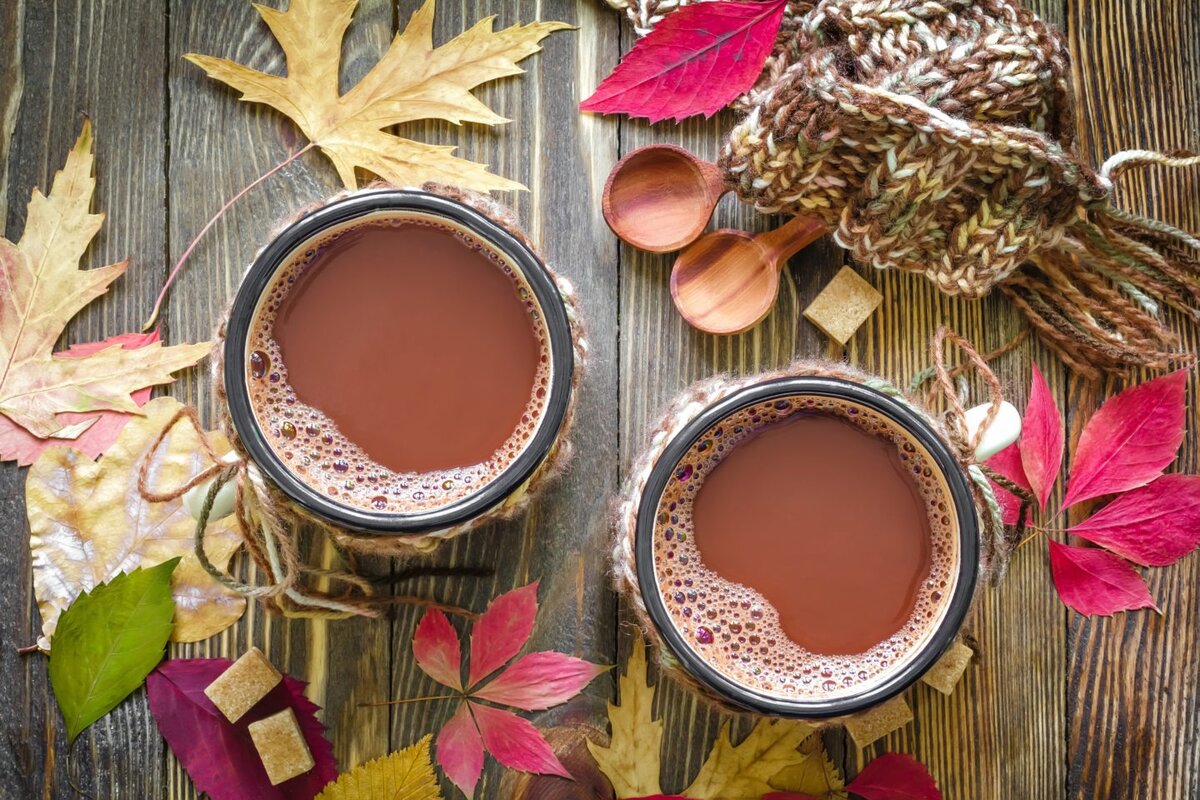 Уже промозгло и сыро, хочется тепла и уюта. Не всегда можно остаться дома под одеялом, с книгой или хорошим фильмом, поглаживая кота или собаку (или обоих).