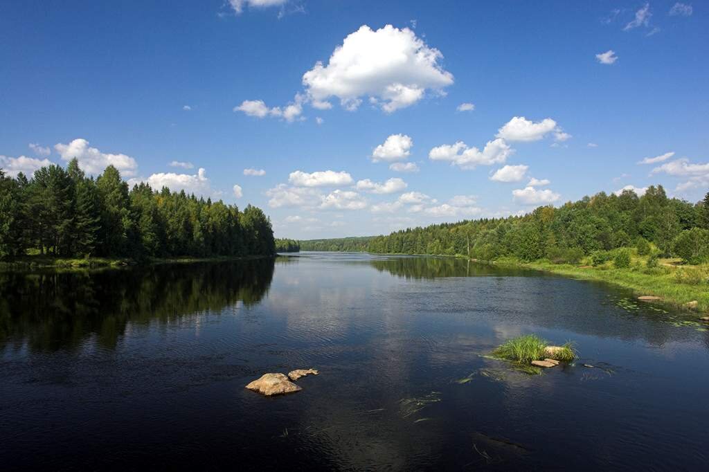 Река Водла в Карелии