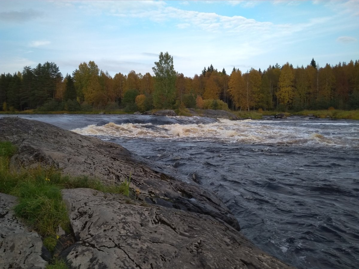 Река Водла в Карелии