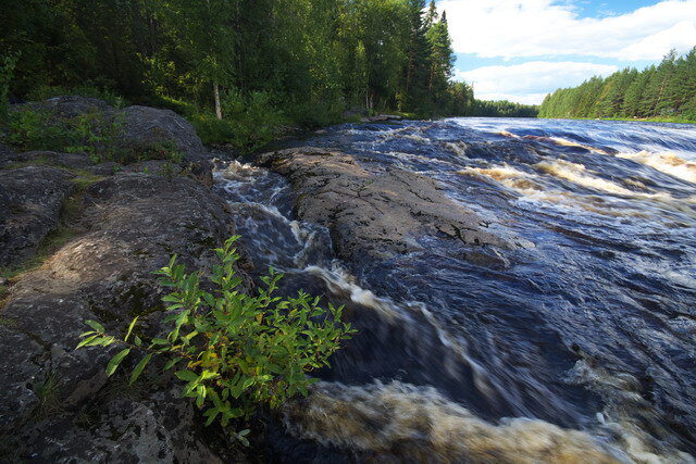 Река Водла в Карелии