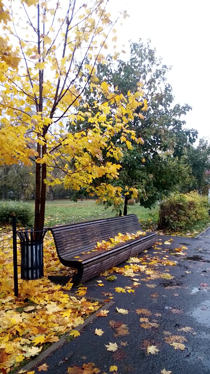 Фото Дарьи Глен. Дмитровский проезд