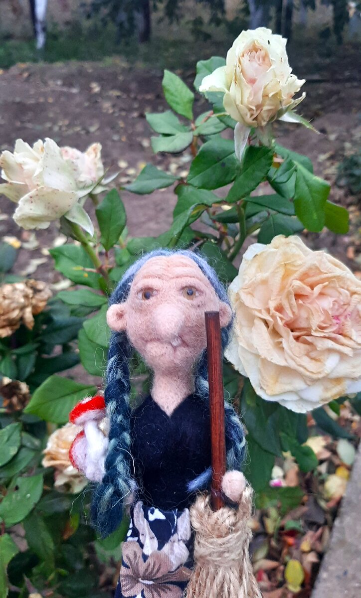 Последние октябрьские розы в бабушкином саду