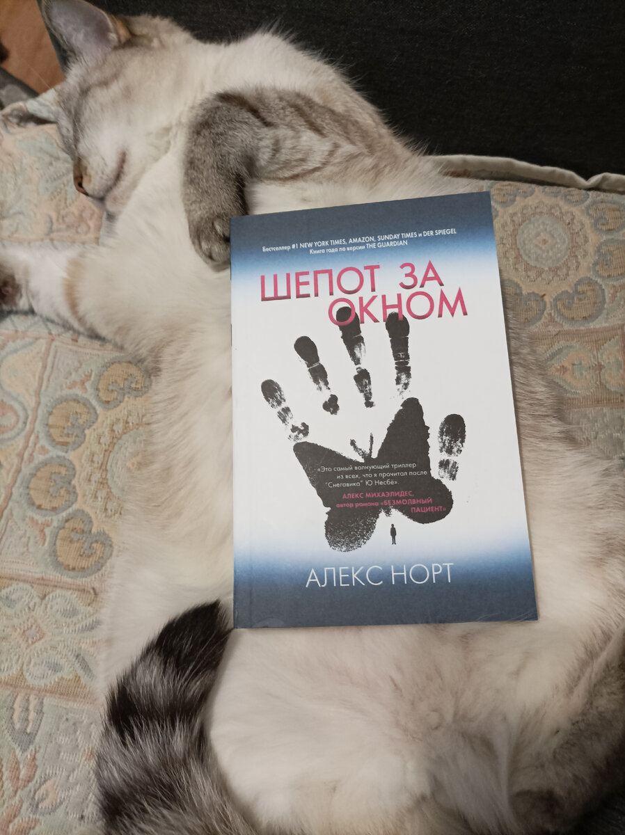Сегодня читаемую книгу в формате pocket book из Fix Price снова представляет безмятежно спящая Дженька.