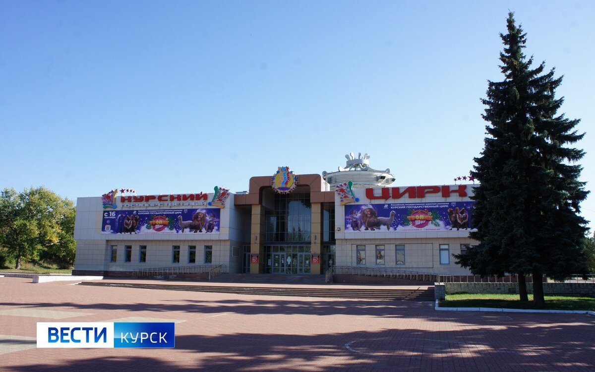    4 из 10 курян выступили за цирковые представления без животных