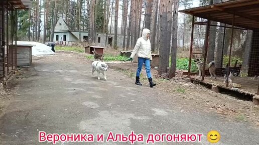 Один день в неделю у Марты меняется поведение. Такой эмоциональной она бывает в единственном случае