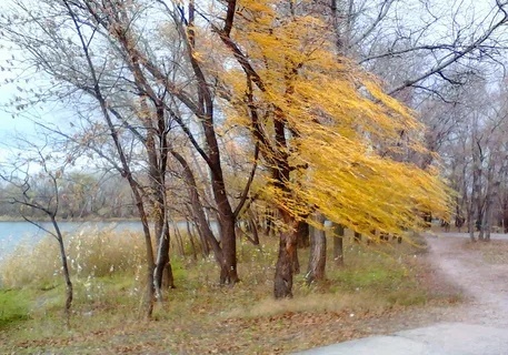 Ноябрьский ветер