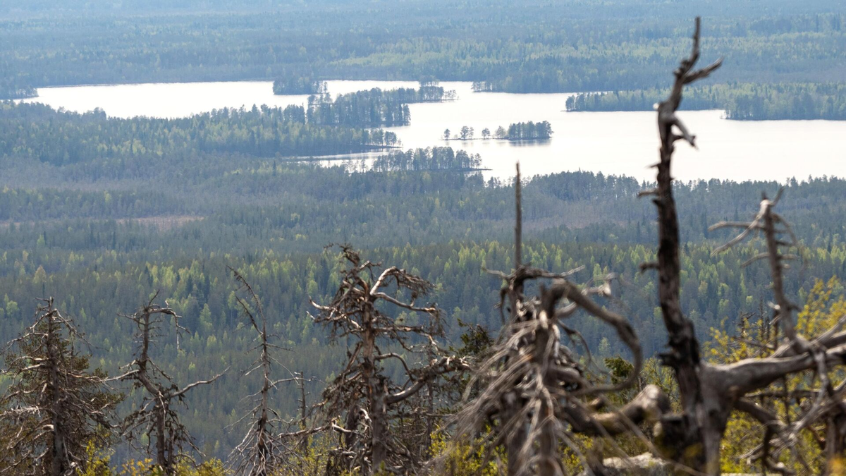 Клюшина гора Карелия