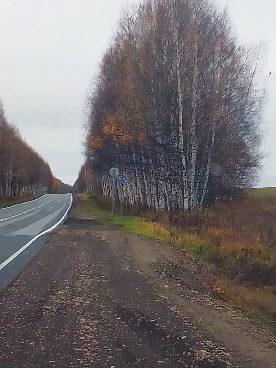 Осень в России. Октябрь