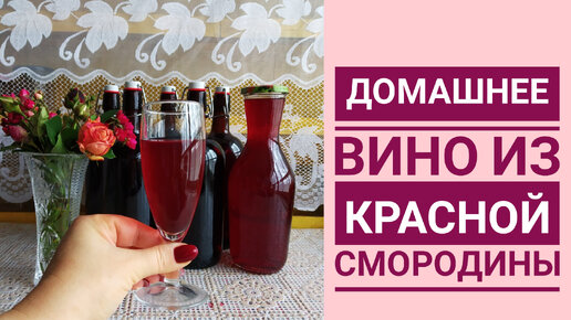 РЕЦЕПТ ВИНА ИЗ КРАСНОЙ СМОРОДИНЫ🍷 ИЛИ 