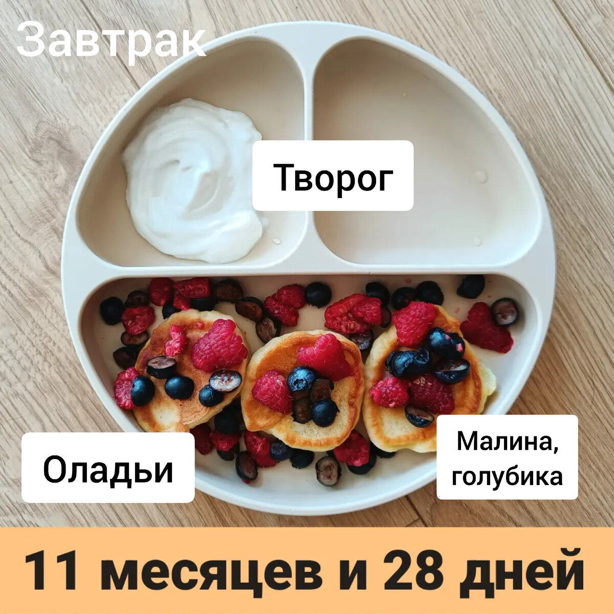 Пример тарелки в 11 месяцев 