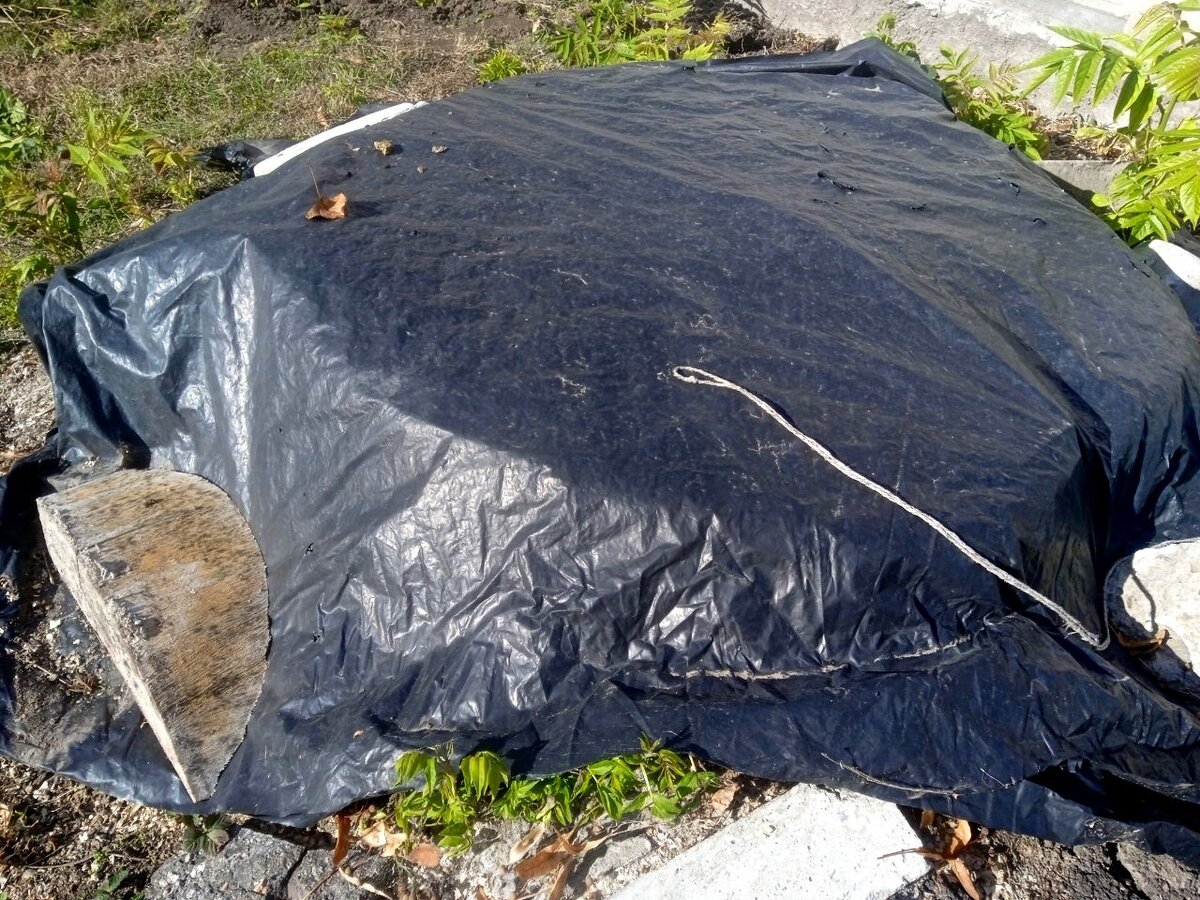 Накрывать растения на зиму одной лишь пленкой или агроволокном смысла мало. Эти материалы не греют!