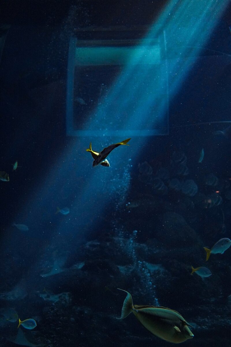 Photo by Eugenia Clara / Unsplash 