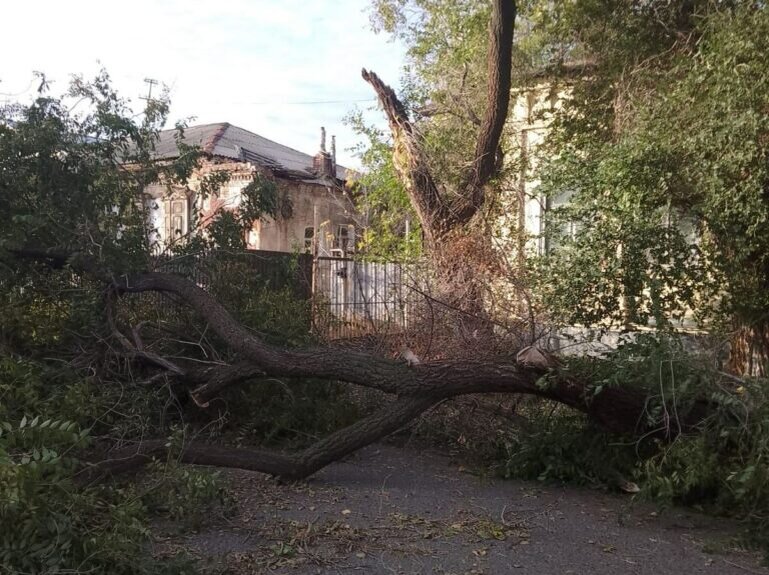    В Оренбурге коммунальные службы устраняют последствия урагана Белов Михаил Александрович
