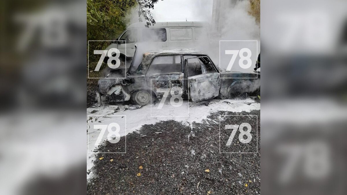 Фото: 78.ru