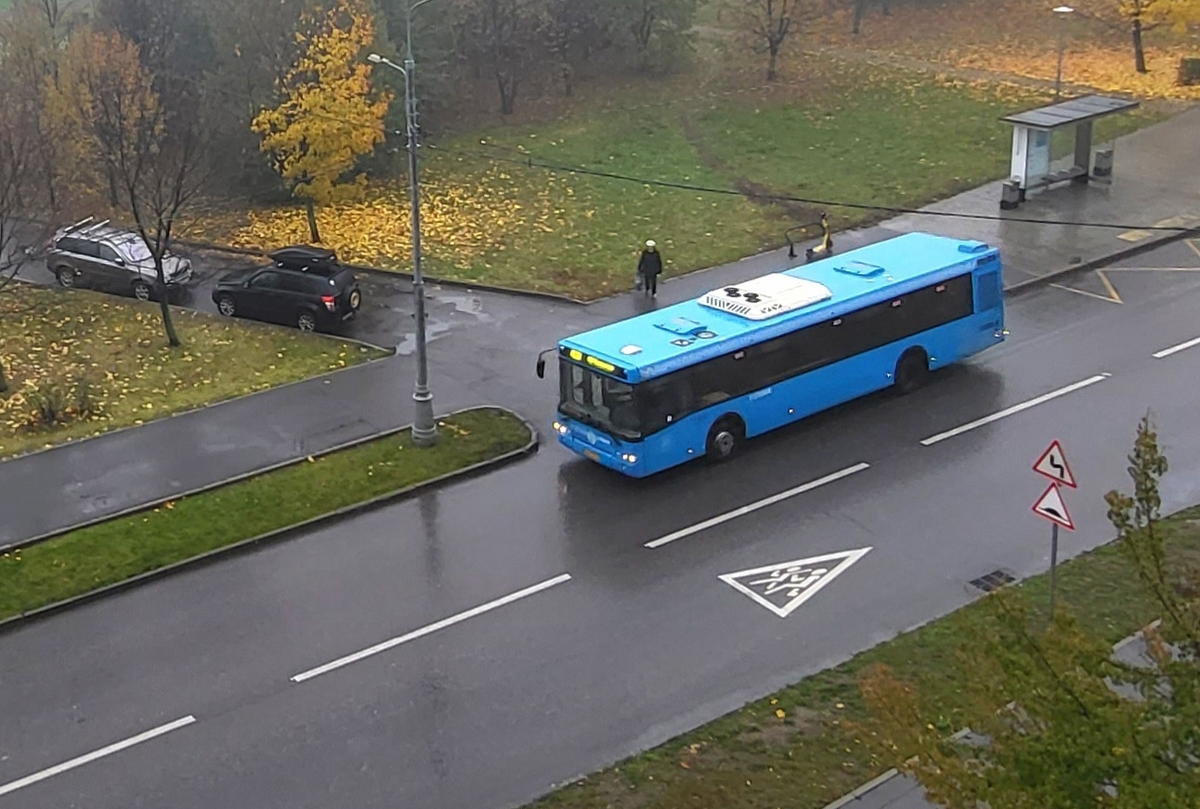 Осенний пейзаж не добавляет желания прогуляться