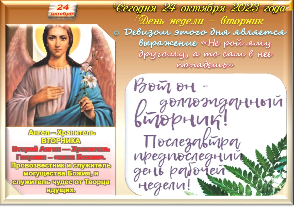 24 октября - Приметы, обычаи и ритуалы, традиции и поверья дня. Все  праздники дня во всех календарях. | Сергей Чарковский Все праздники | Дзен