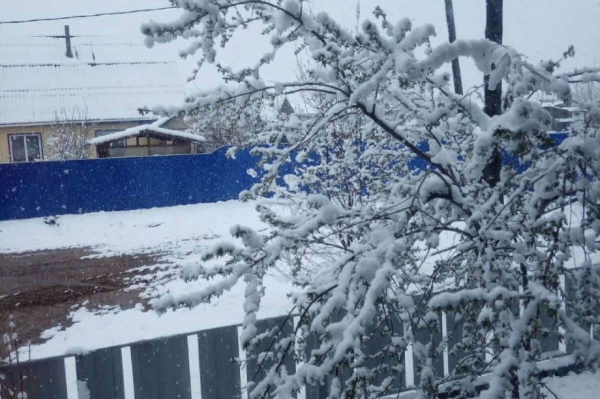    Сити-менеджер Читы Щеглова объяснила, кто будет убирать снег в городе