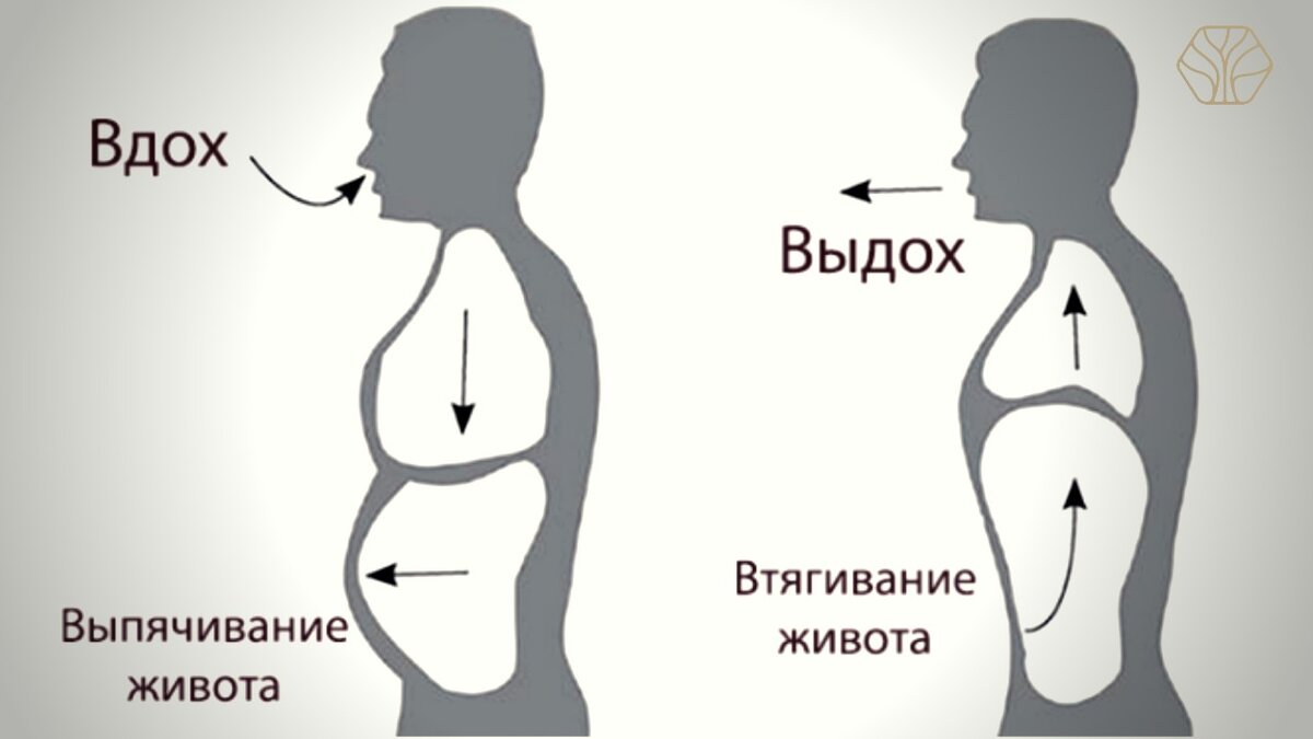 Диафрагмальное дыхание — забытый способ восстановления работы ЖКТ, который  активно использовался советскими врачами в обычных поликлиниках | Древмасс  | Дзен