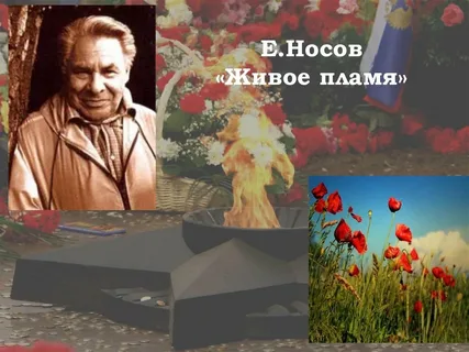 В рассказе Е.И. Носова «живут» цветы маки. Они олицетворяют память о сыне, благодарность земли, за которую он погиб. Недолговечность цветения маков-символ его молодой ,  загубленной фашистами жизни.