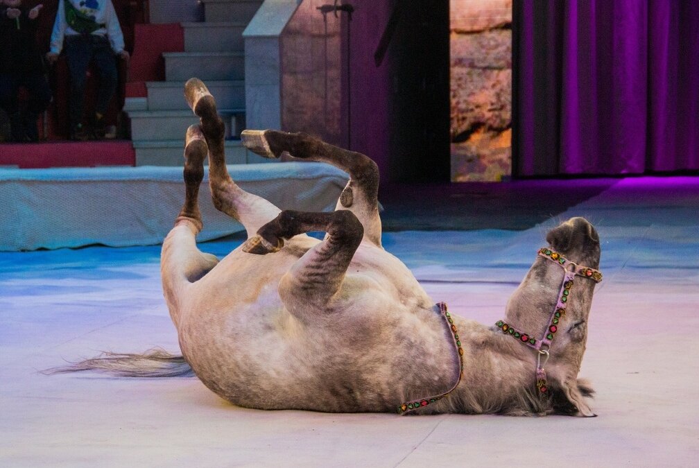 ИА SM-News Тюмень📷
