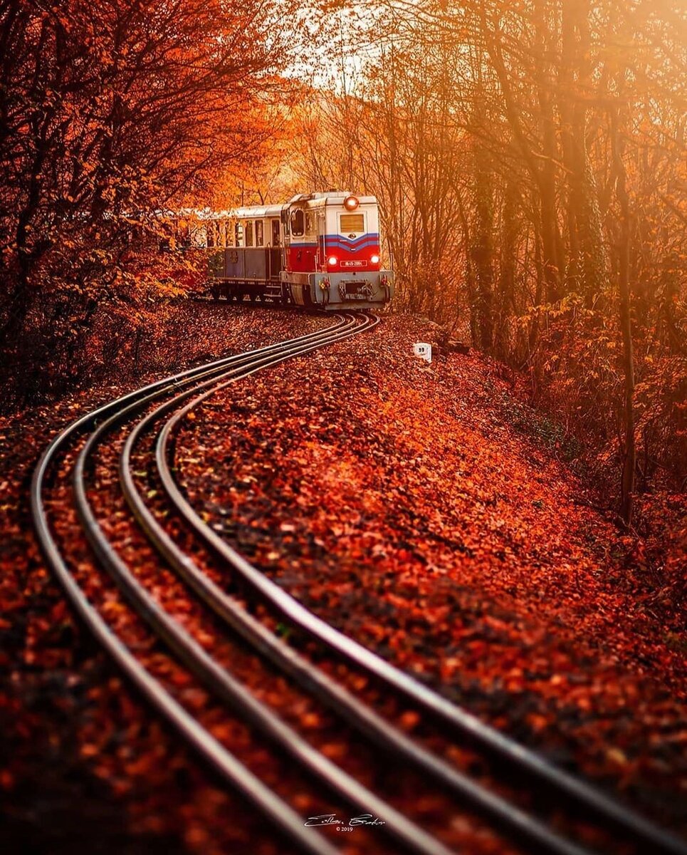 Поезд в неизвестность 😌