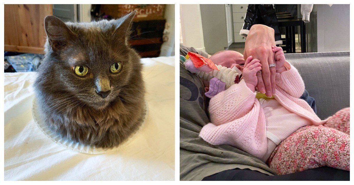 Источник: boredpanda.com