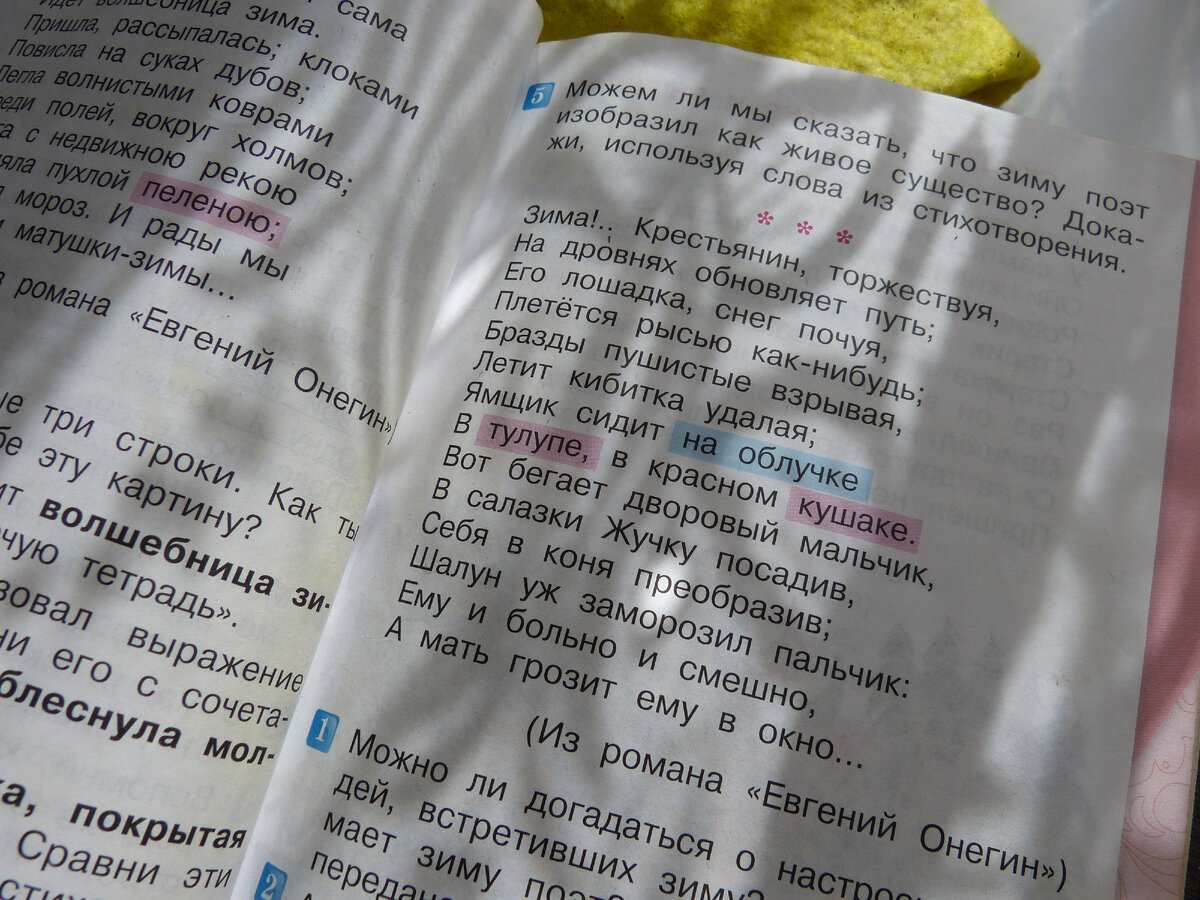 А ведь красивый отрывок, как по мне. Фото мое.