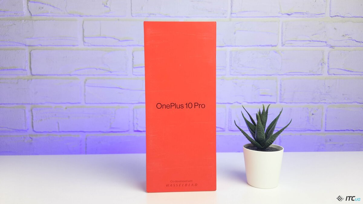 Внутри: смартфон с наклеенной заводской пленкой, кабель USB-A to USB-C, блок питания с китайской вилкой, инструкция, чехол (хорошо, что не прозрачный, а стильный и под цвет корпуса).