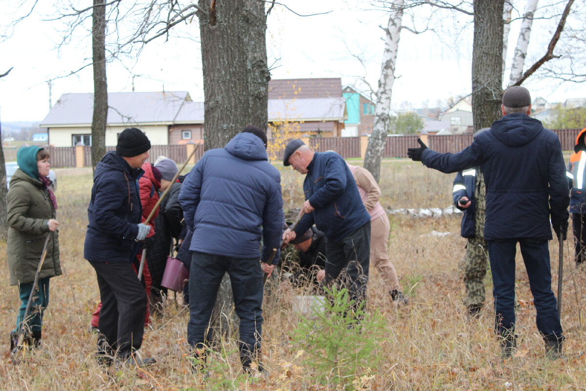 Участники мероприятия приступили к уничтожению яйцекладок шелкопряда.