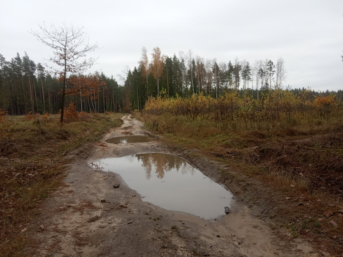 Накануне ночью поливало дождем. Как следствие, пачка луж, ну и грязненько, ага. Но в целом дорога проходибельна.
