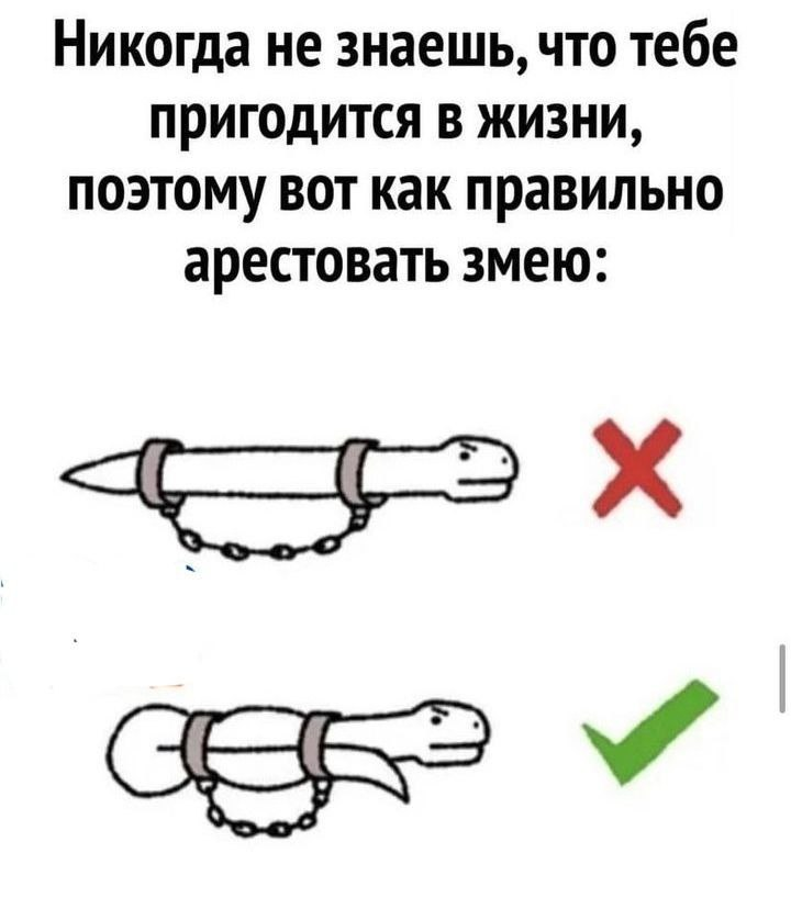 Источник картинки - Яндекс.Картинки
