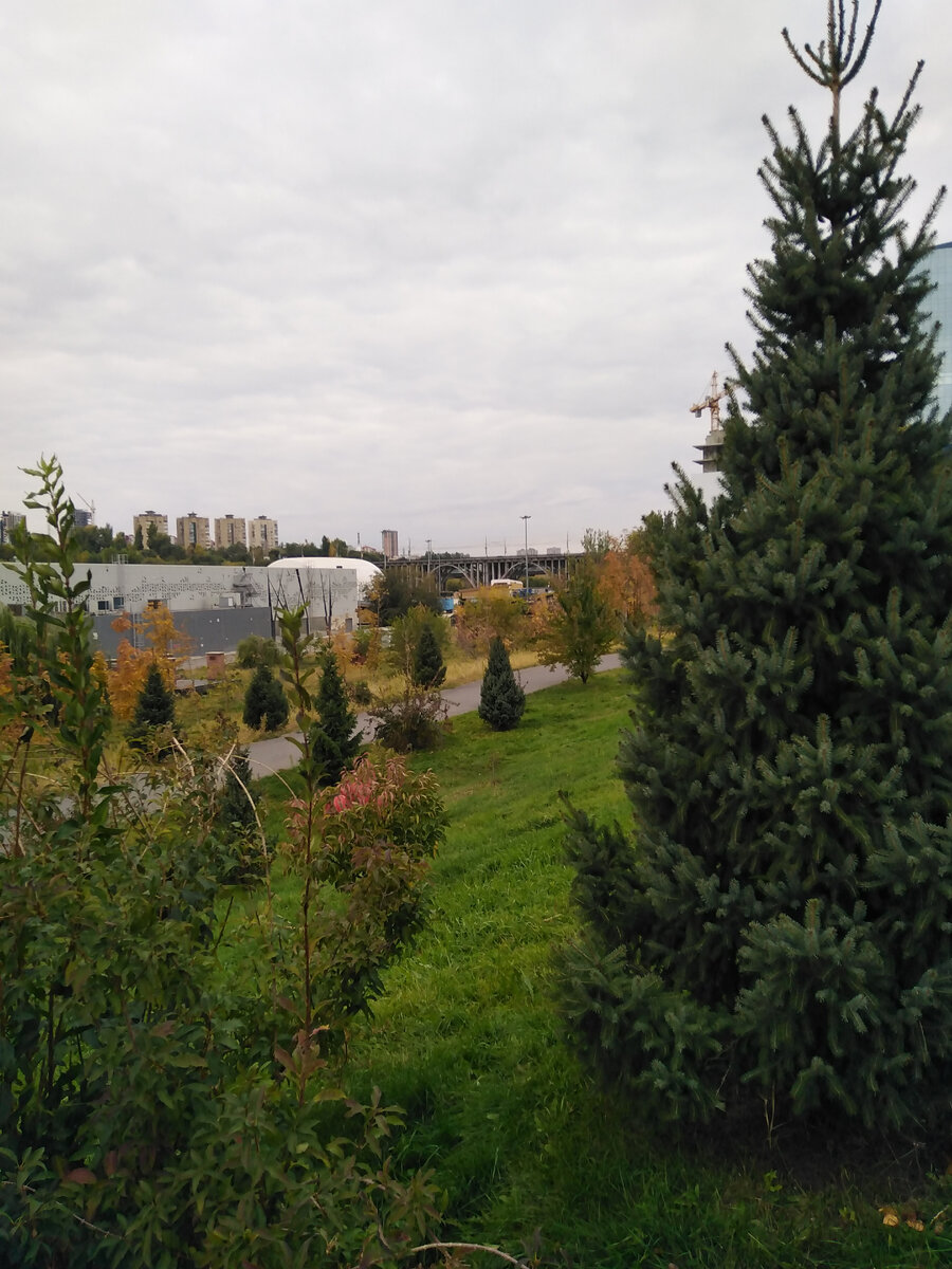 Мост видно вон там, на заднем плане