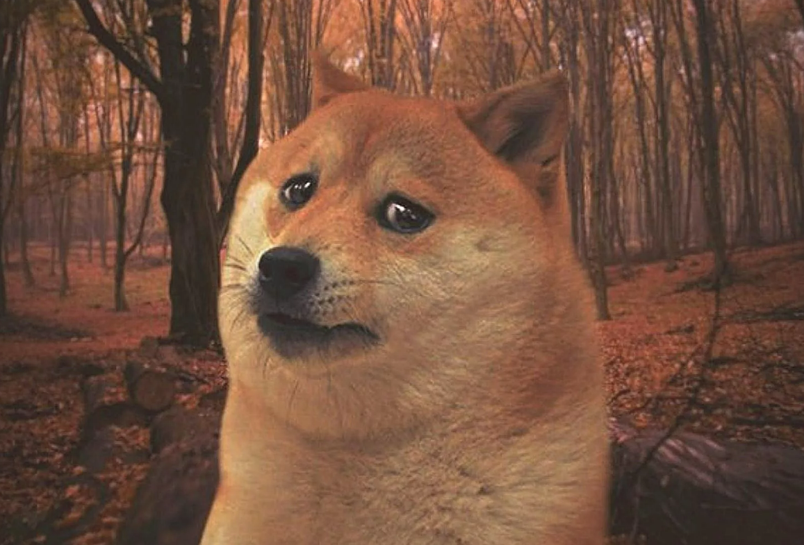  Сайт: psyhology.by, фото может носить иллюстрационный характер, название - Что делать, если тебя не понимают?