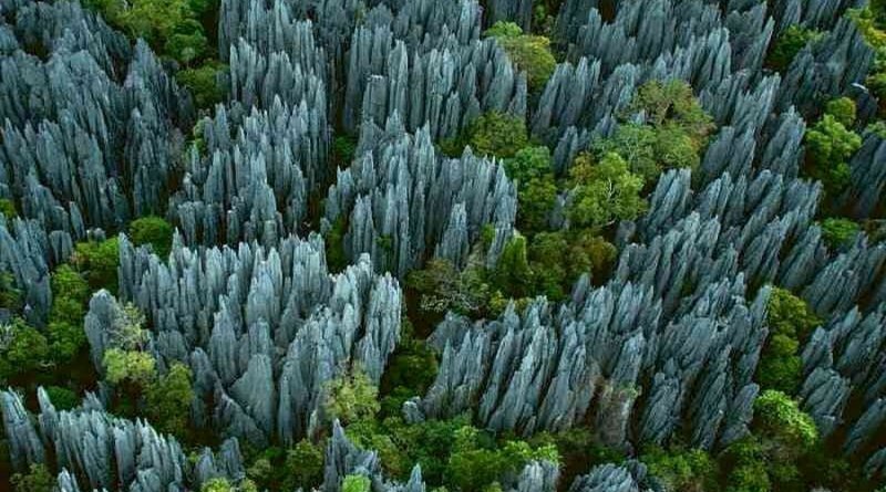 Каменный лес Цинжи дю Бемараха. Источник: https://www.tostay.ru/tsingy-de-bemaraha/