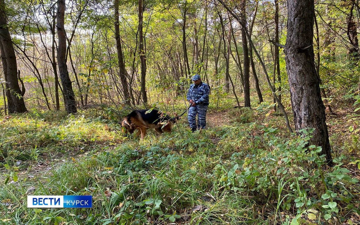    Волонтёры нашли пропавшего 31-летнего жителя Железногорска